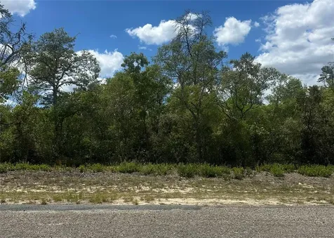 8036 N Wayside Avenue Dunnellon FL 34433