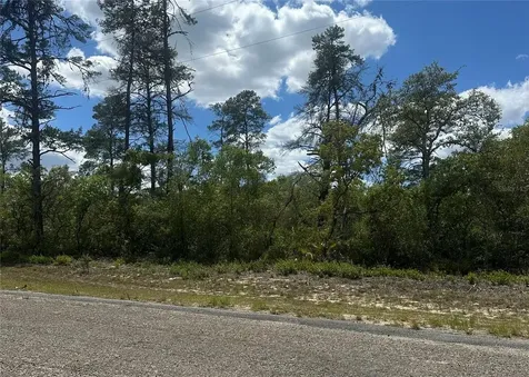 8036 N Wayside Avenue Dunnellon FL 34433