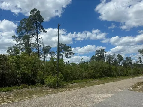 8036 N Wayside Avenue Dunnellon FL 34433