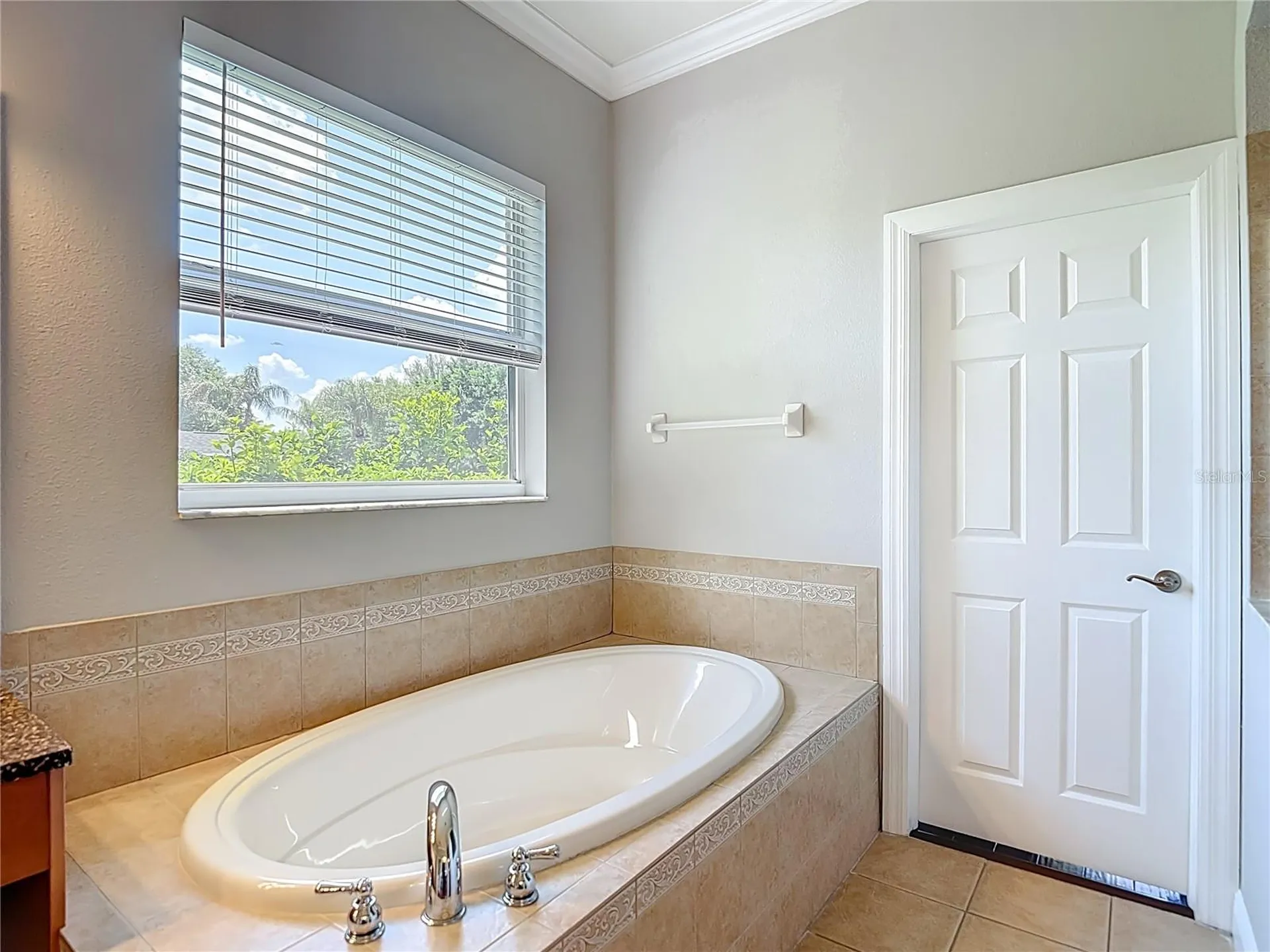 2705 Coastal Range Way Lutz FL 33559