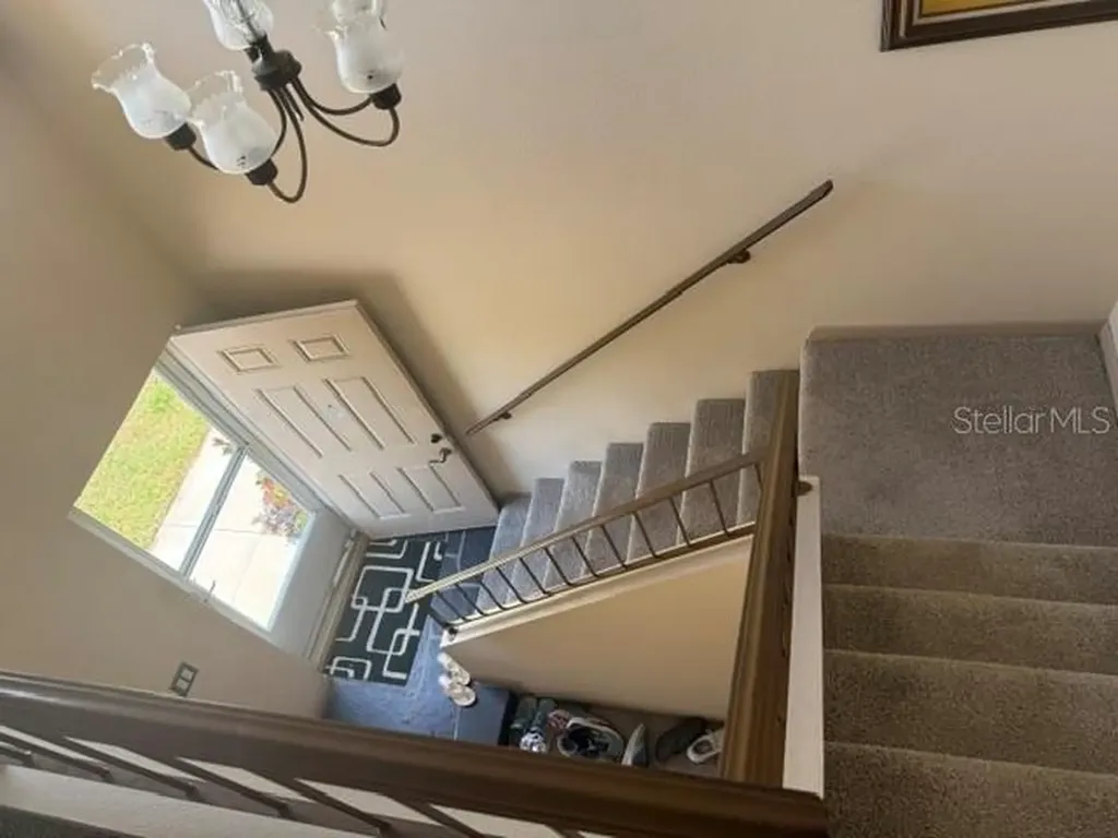 3223 38th Way S St Petersburg FL 33711