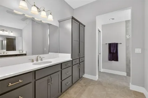 1125 Maynard Path The Villages FL 32163