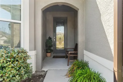 9748 Ibis Grove Boulevard Wesley Chapel FL 33545