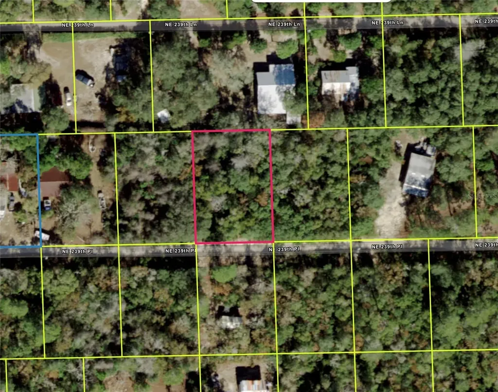 NE 239th Place Fort Mc Coy FL 32134