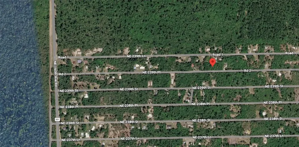 NE 239th Place Fort Mc Coy FL 32134