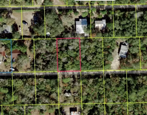 NE 239th Place Fort Mc Coy FL 32134