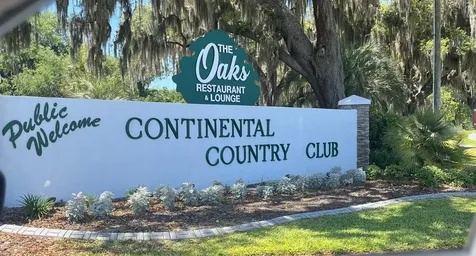 33 Bobcat Trail Wildwood FL 34785
