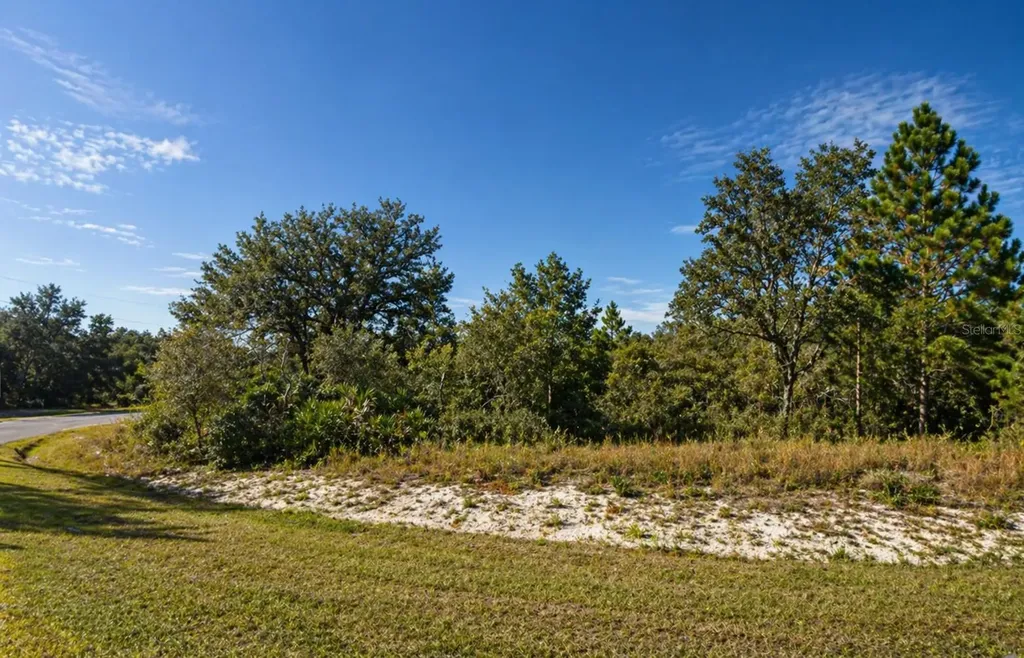 320 Bowfin Drive Kissimmee FL 34759