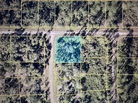 Alpen Avenue North Port FL 34291