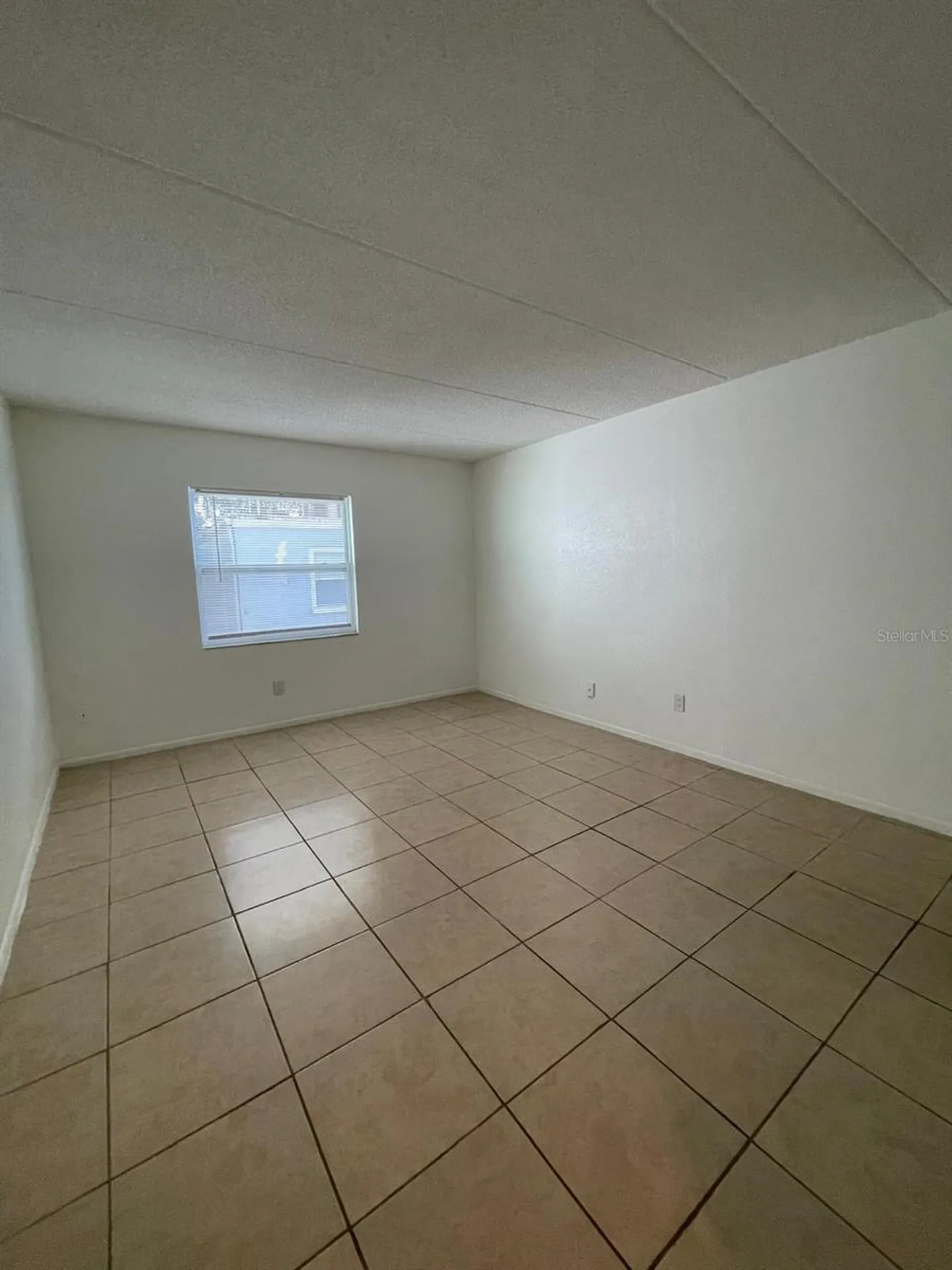 2814 Somerset Park Drive Tampa FL 33613