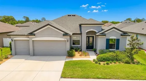3925 Salida Delsol Drive Sun City Center FL 33573