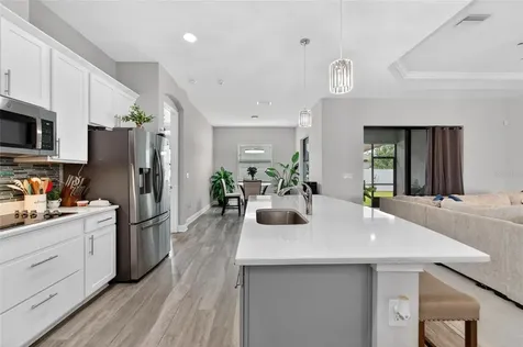 3925 Salida Delsol Drive Sun City Center FL 33573