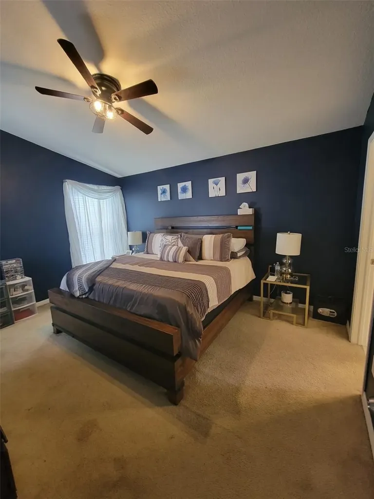 10742 Shady Preserve Drive Riverview FL 33579
