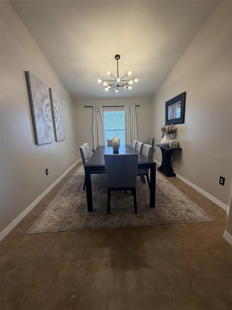 10742 Shady Preserve Drive Riverview FL 33579