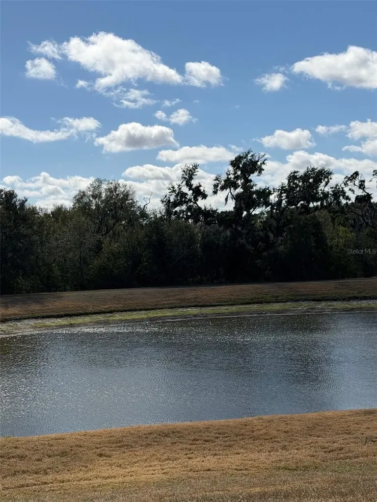 10742 Shady Preserve Drive Riverview FL 33579