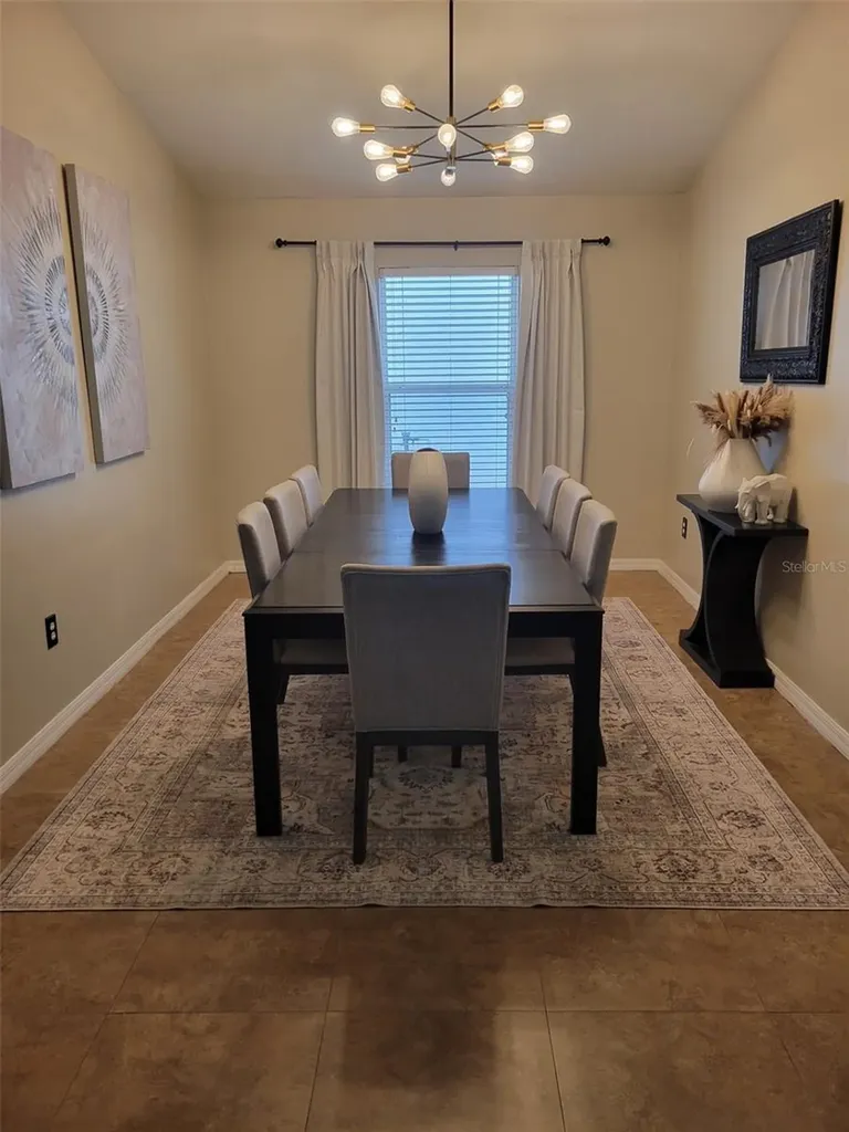 10742 Shady Preserve Drive Riverview FL 33579
