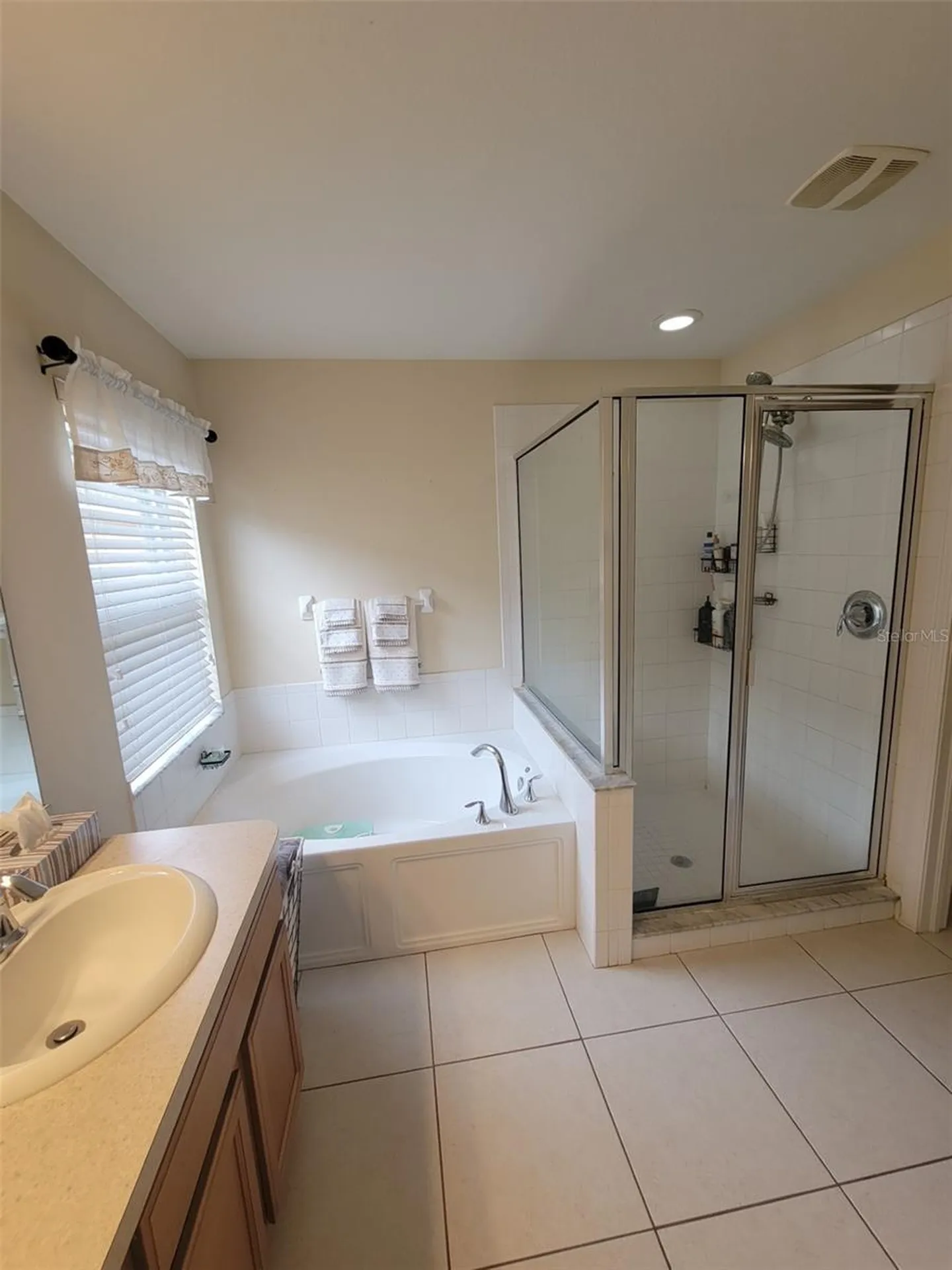 10742 Shady Preserve Drive Riverview FL 33579