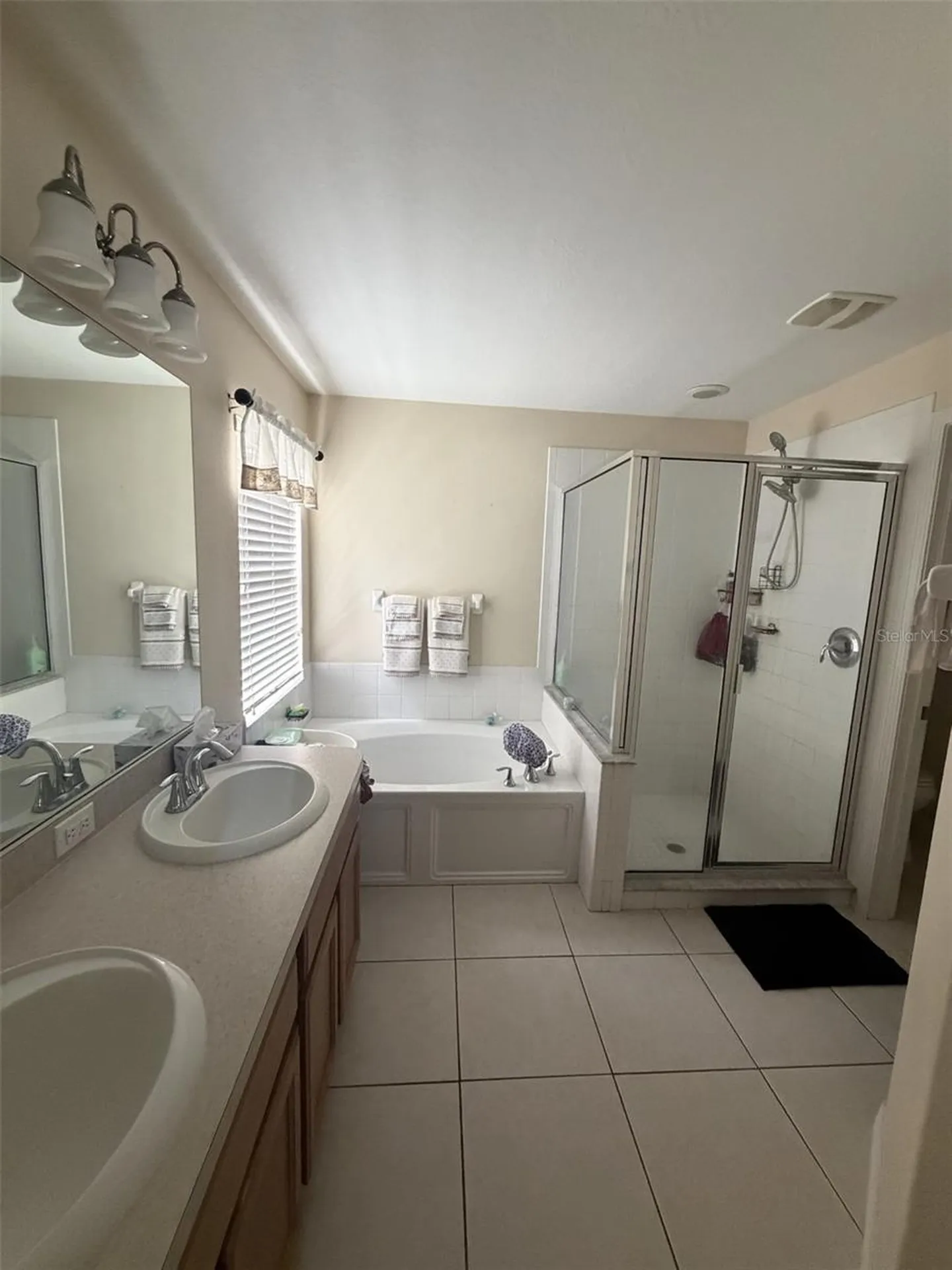 10742 Shady Preserve Drive Riverview FL 33579