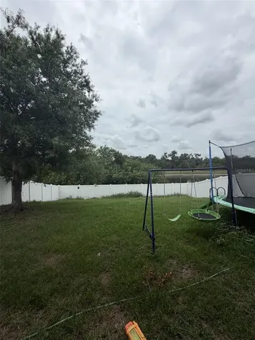 10742 Shady Preserve Drive Riverview FL 33579