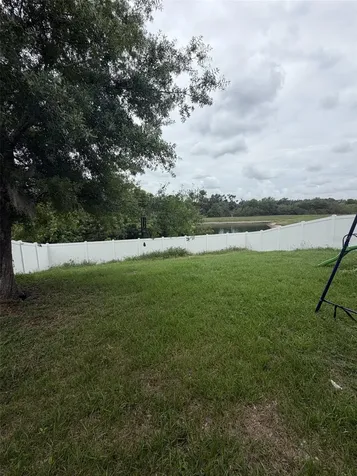 10742 Shady Preserve Drive Riverview FL 33579