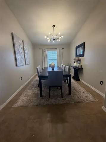 10742 Shady Preserve Drive Riverview FL 33579