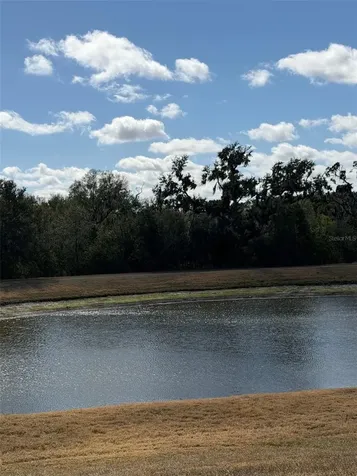 10742 Shady Preserve Drive Riverview FL 33579
