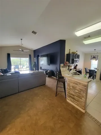 10742 Shady Preserve Drive Riverview FL 33579