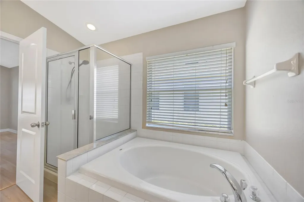 30435 Annadale Drive Wesley Chapel FL 33545