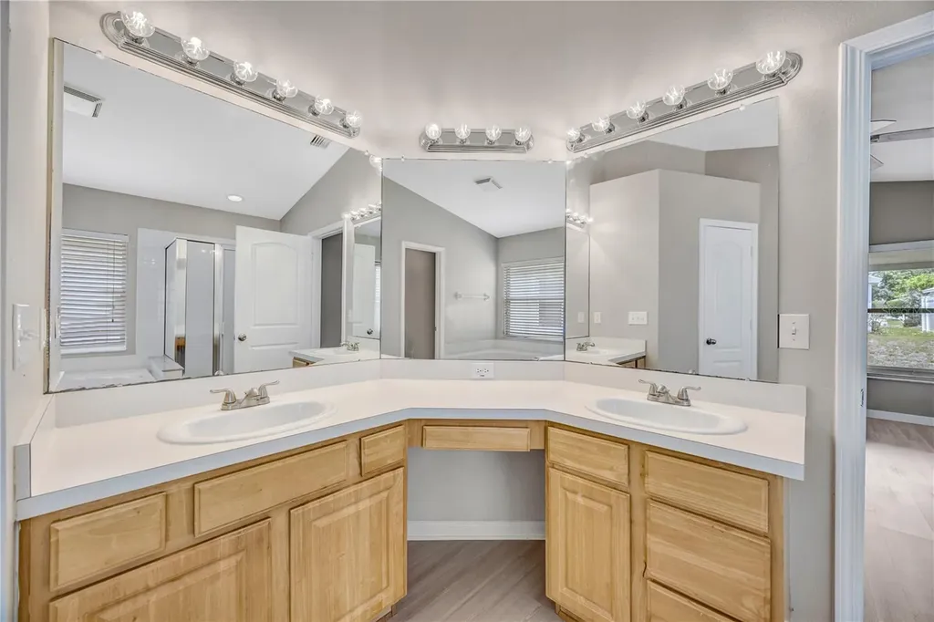 30435 Annadale Drive Wesley Chapel FL 33545