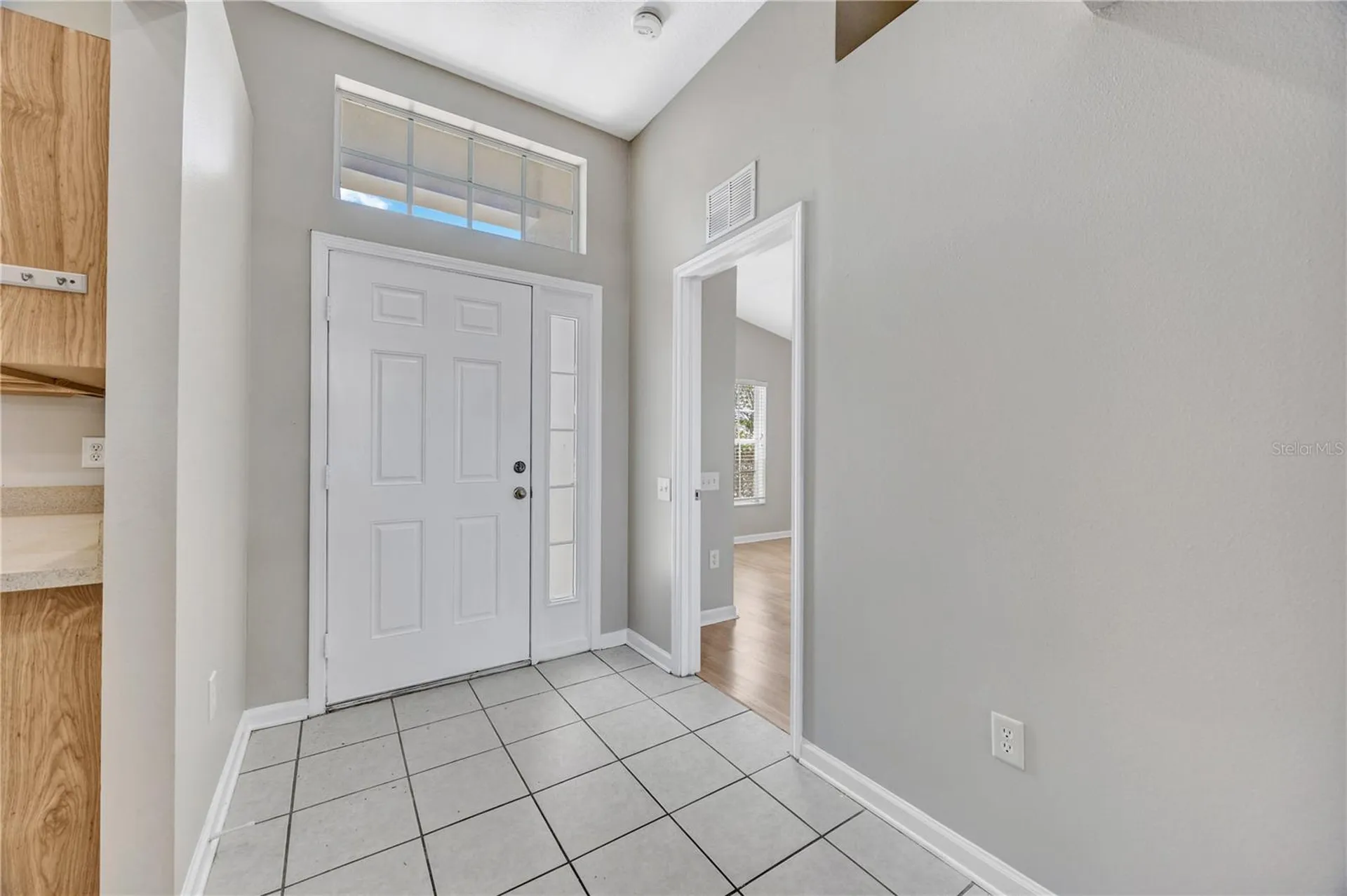 30435 Annadale Drive Wesley Chapel FL 33545