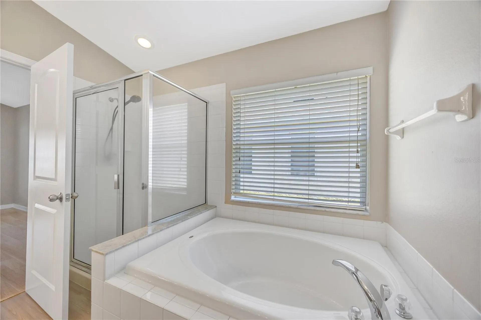 30435 Annadale Drive Wesley Chapel FL 33545