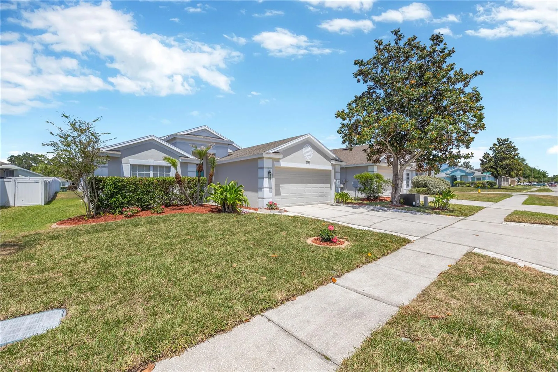 30435 Annadale Drive Wesley Chapel FL 33545