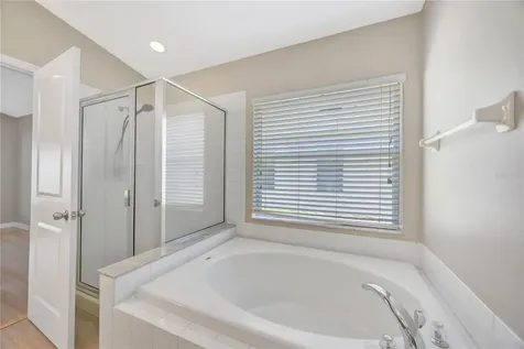 30435 Annadale Drive Wesley Chapel FL 33545