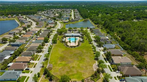 30435 Annadale Drive Wesley Chapel FL 33545