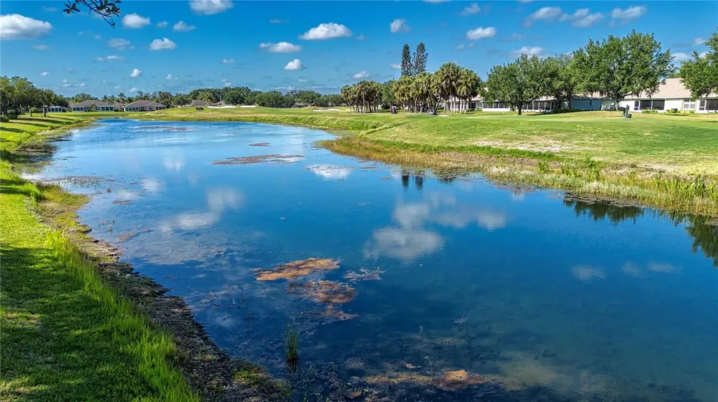 1205 Huntington Greens Drive Sun City Center FL 33573