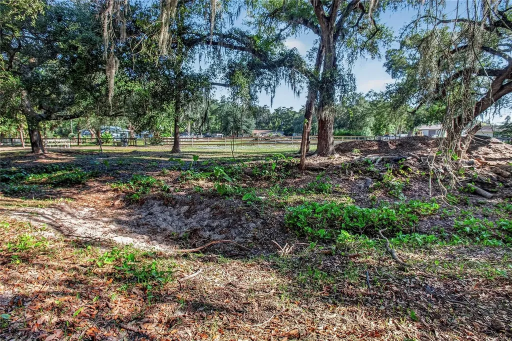 10627 Mcintosh Road Thonotosassa FL 33592