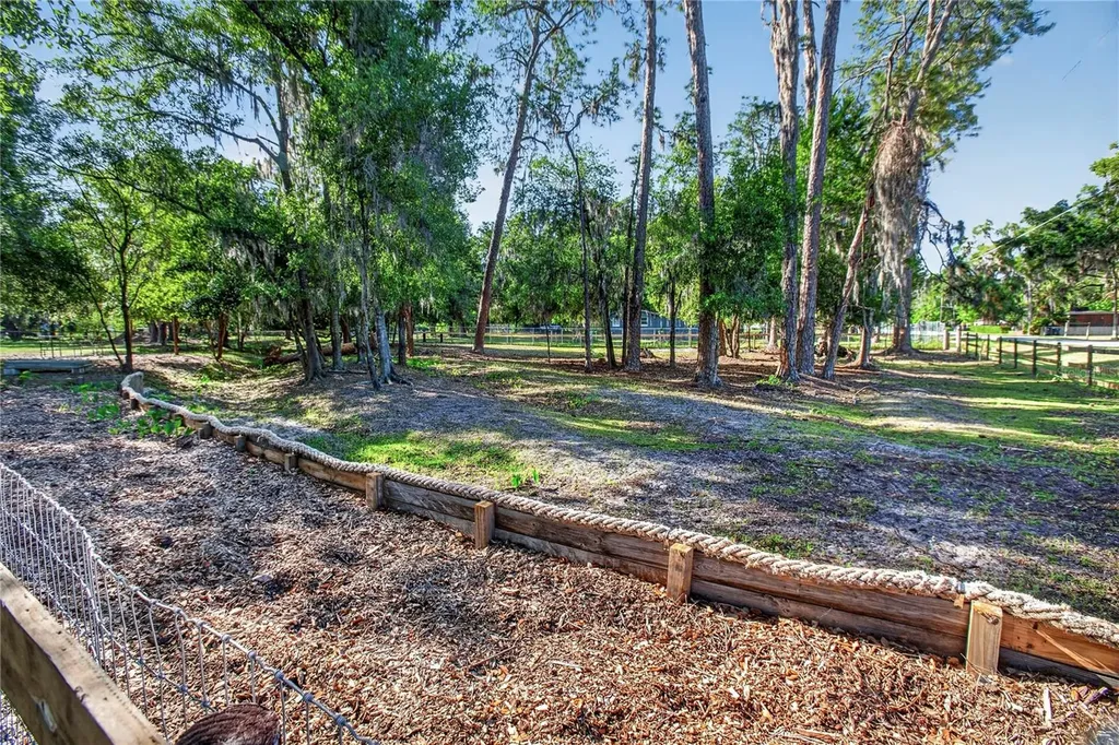 10627 Mcintosh Road Thonotosassa FL 33592