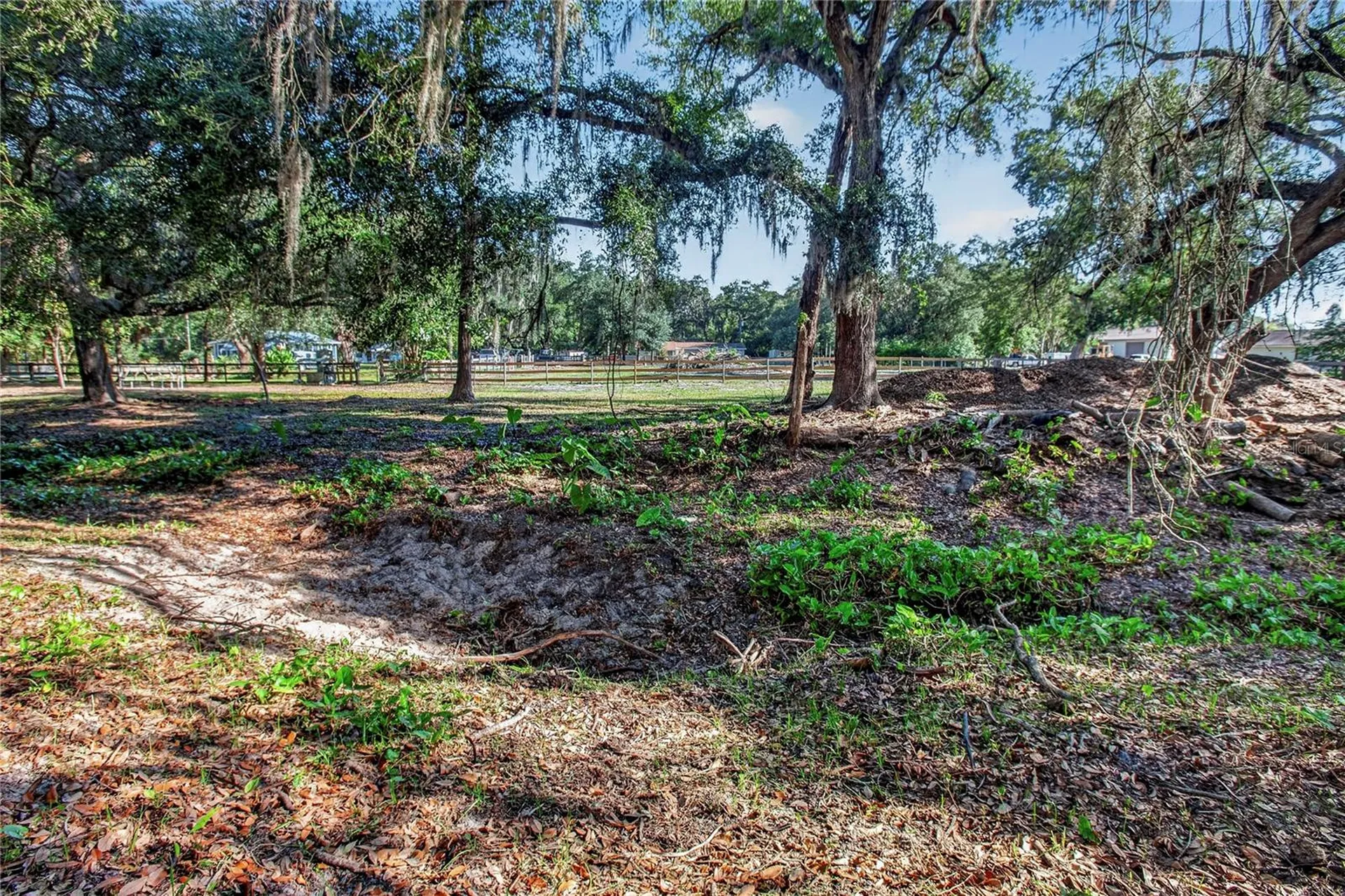 10627 Mcintosh Road Thonotosassa FL 33592