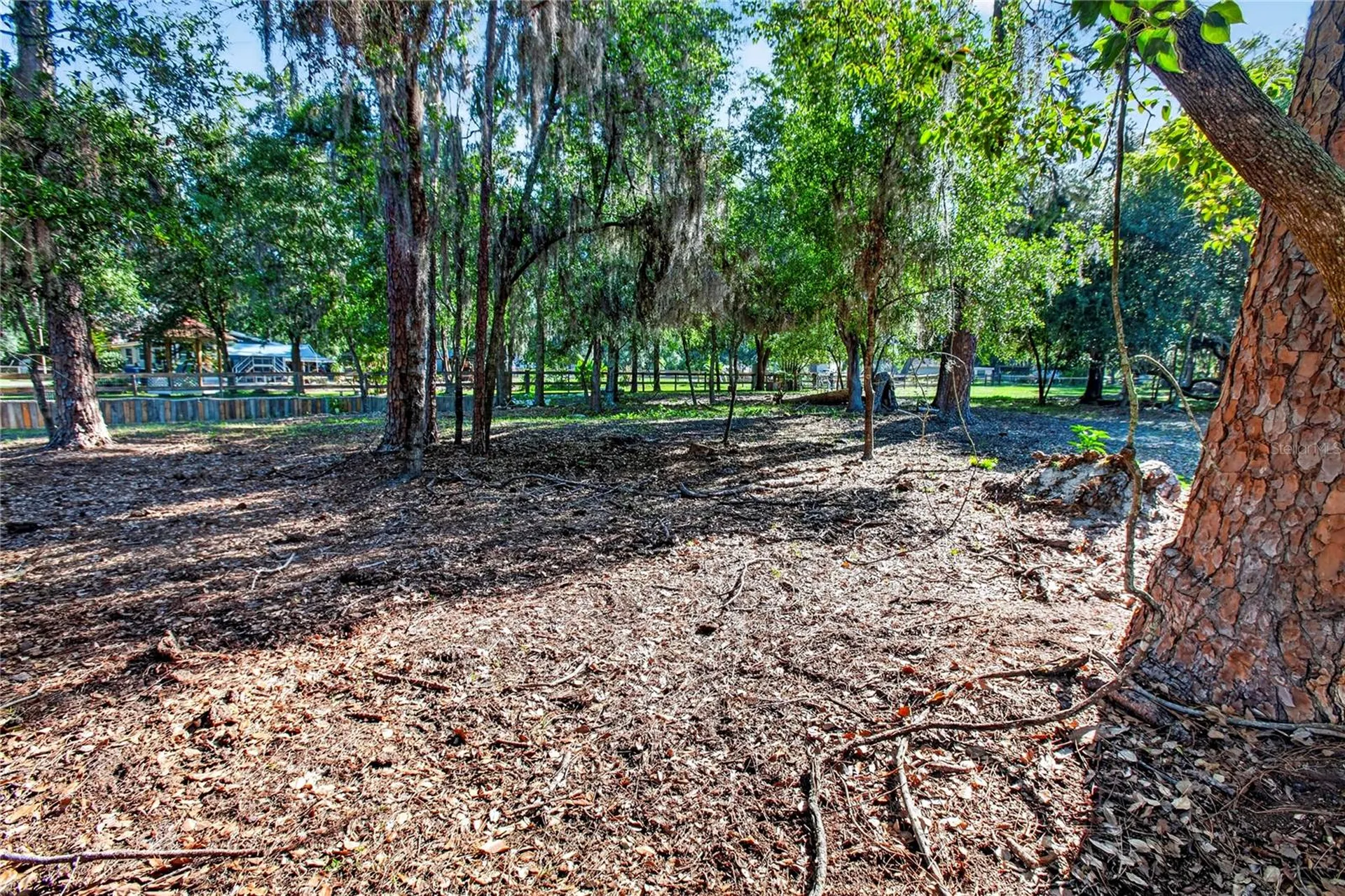 10627 Mcintosh Road Thonotosassa FL 33592