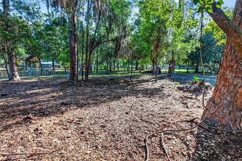 10627 Mcintosh Road Thonotosassa FL 33592