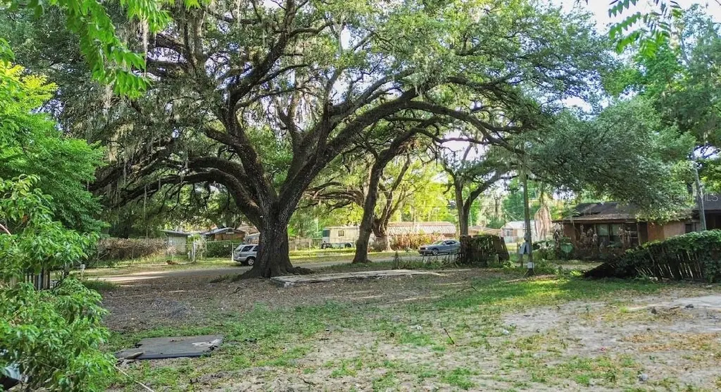 38319 Stebbins Avenue Zephyrhills FL 33542