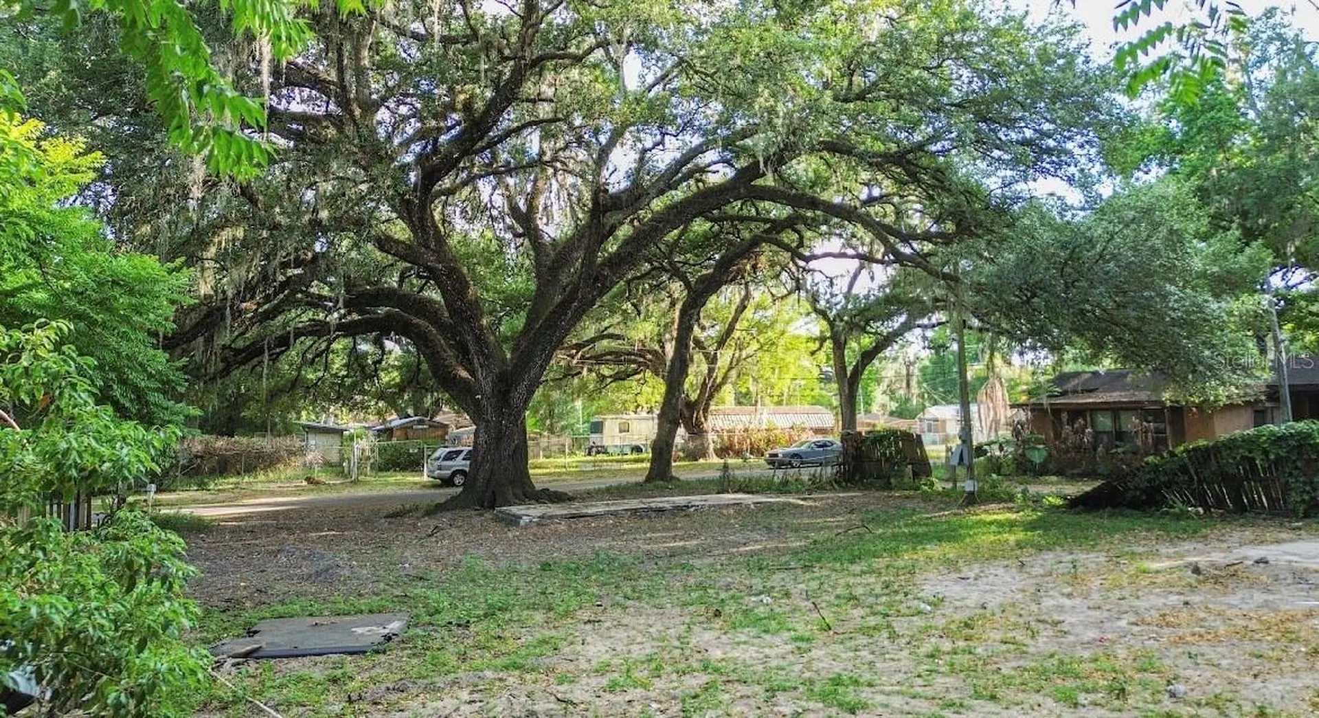 38319 Stebbins Avenue Zephyrhills FL 33542