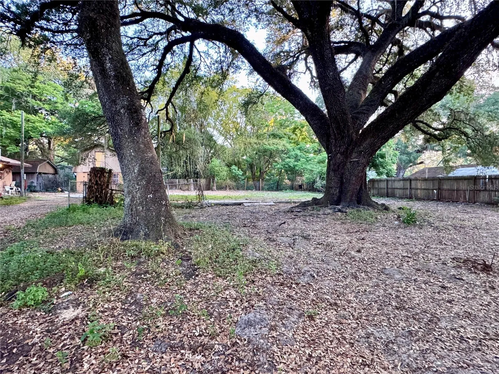 38319 Stebbins Avenue Zephyrhills FL 33542
