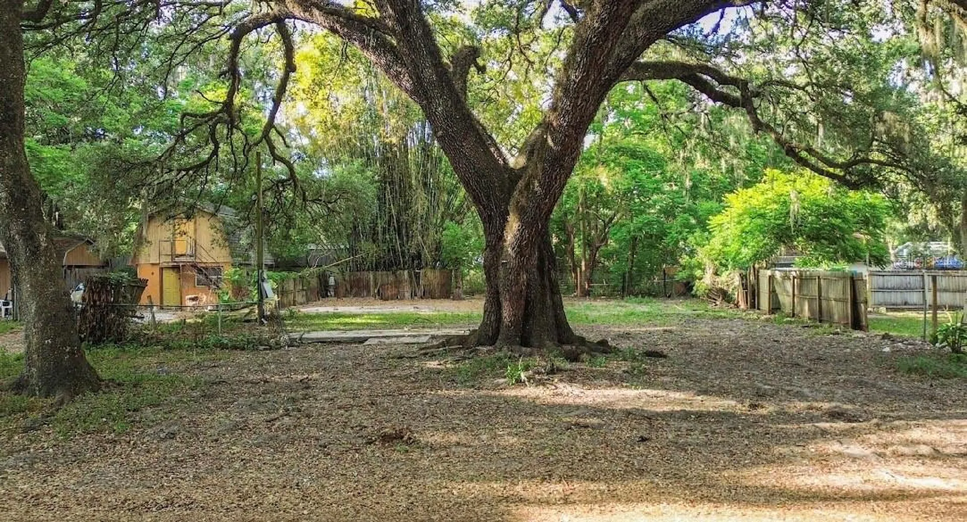38319 Stebbins Avenue Zephyrhills FL 33542