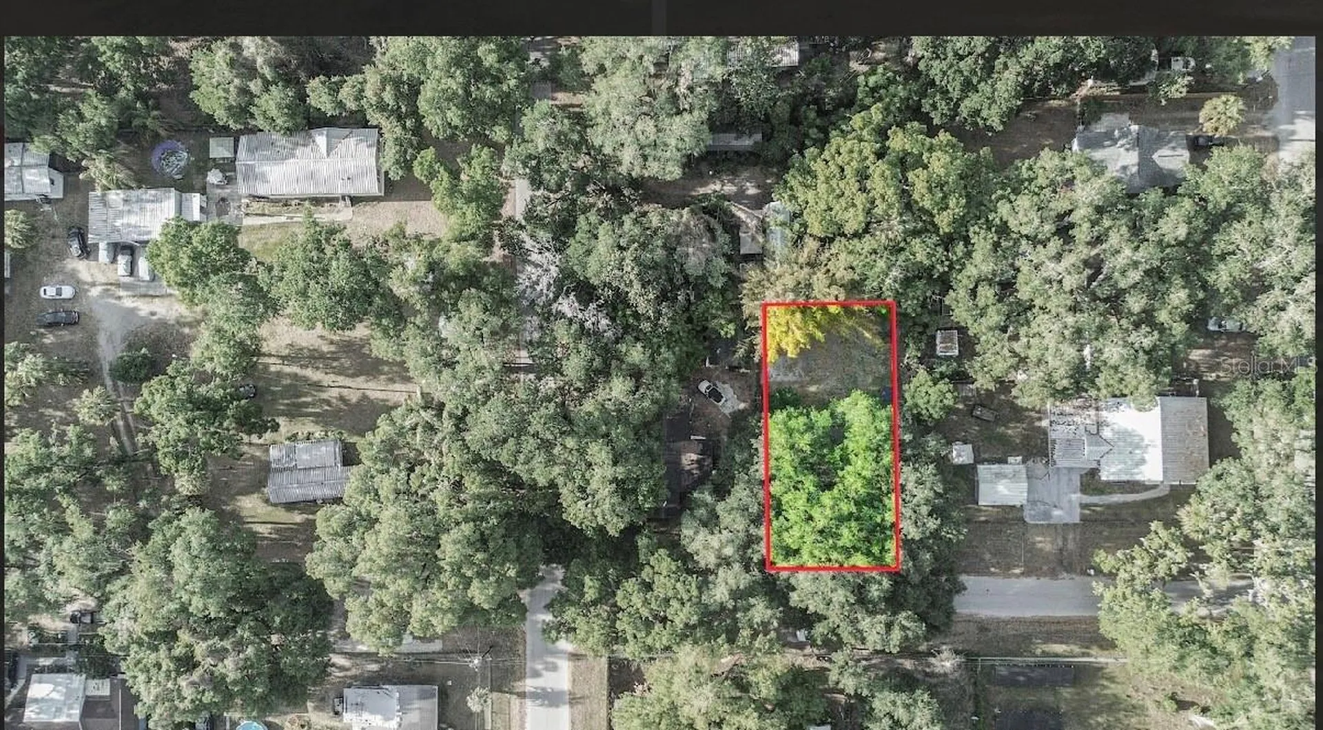 38319 Stebbins Avenue Zephyrhills FL 33542