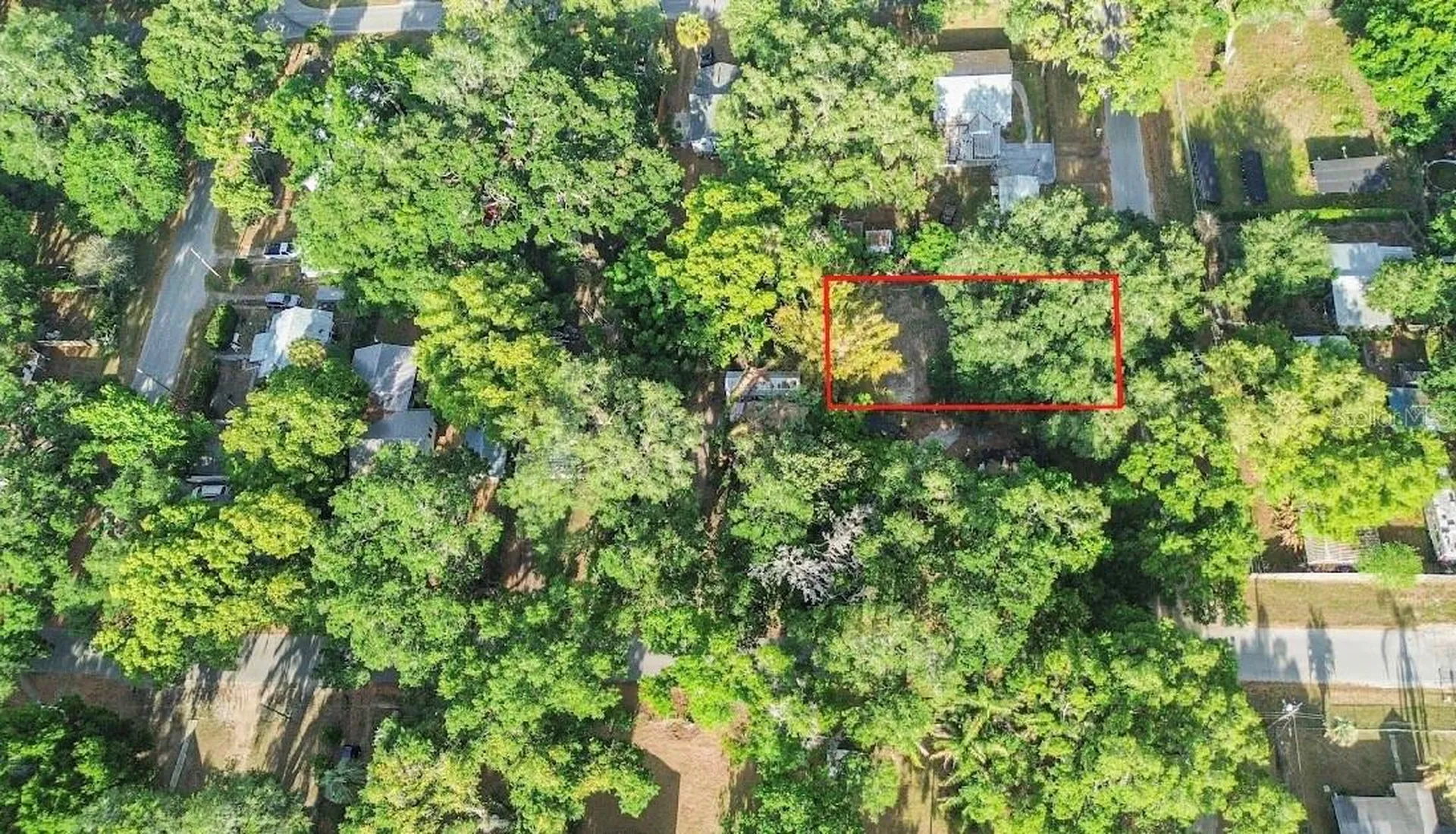 38319 Stebbins Avenue Zephyrhills FL 33542