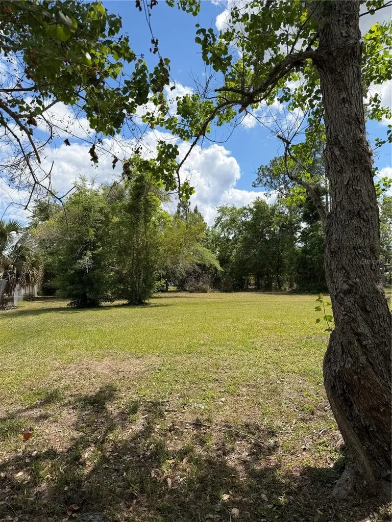 24138 Panther Road Astor FL 32102