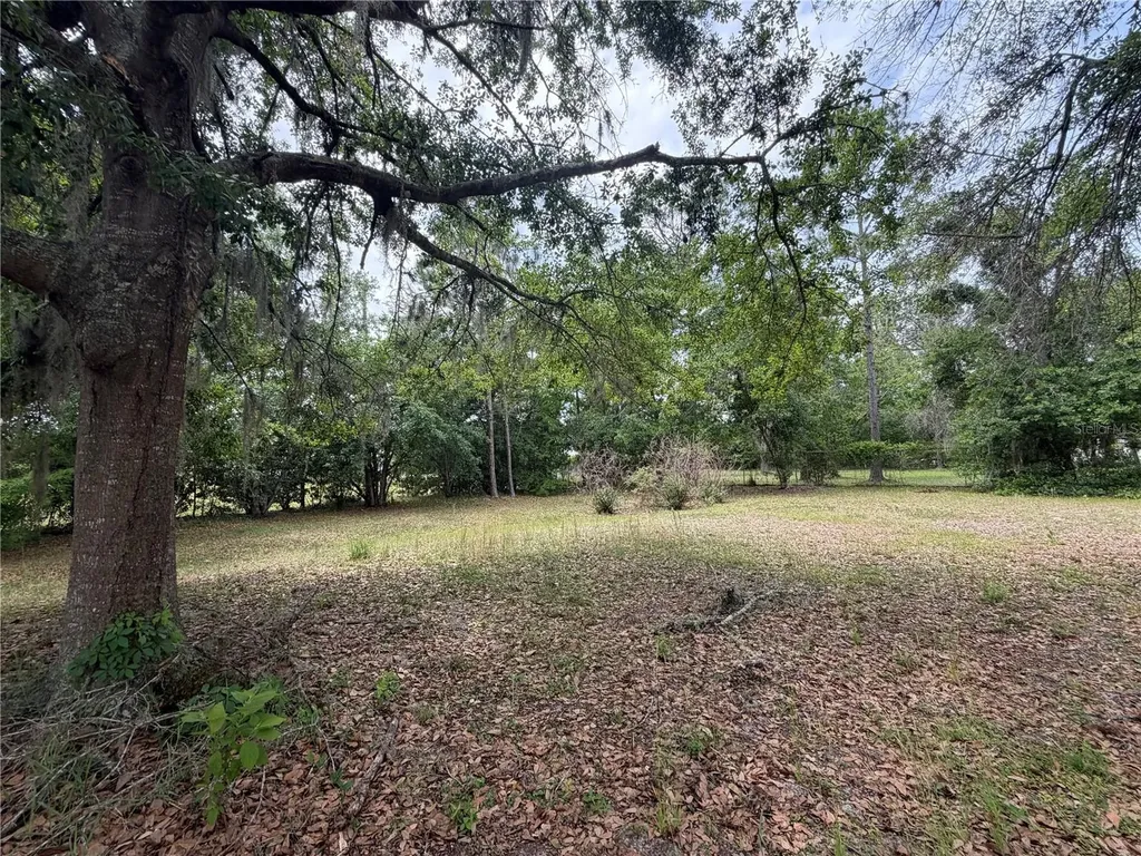 24138 Panther Road Astor FL 32102