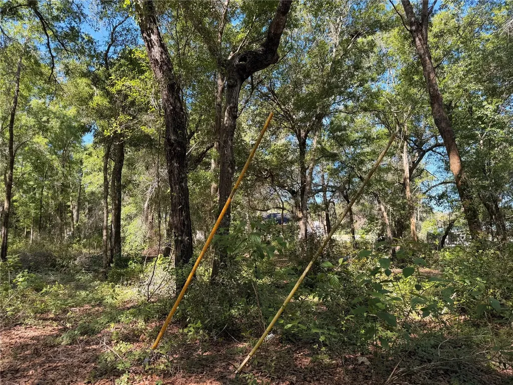 10185 Creekfield Road Brooksville FL 34613