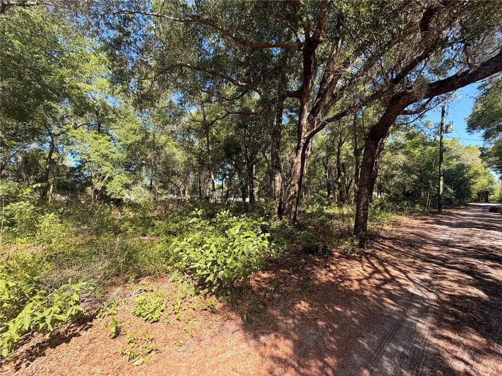 10185 Creekfield Road Brooksville FL 34613